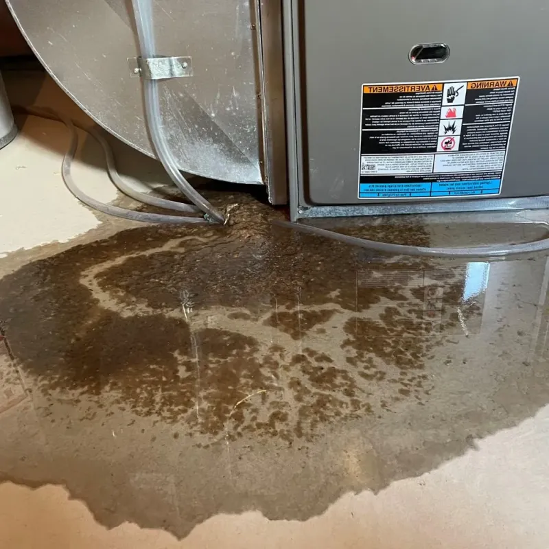 Pipe Burst and Leak Restoration in Mount Ayr, IA