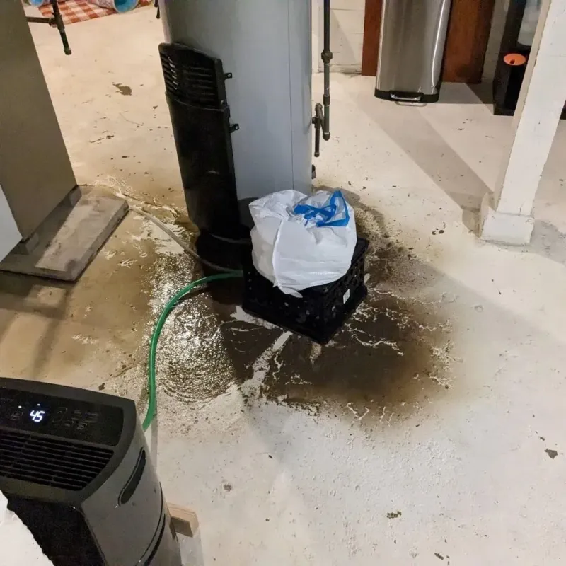Sewage Backup Cleanup Service in Mount Ayr, IA